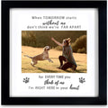 Pet Memorial Picture Frame, Sympathy Loss Gift, Dog Cat Remembrance Keepsake Tribute